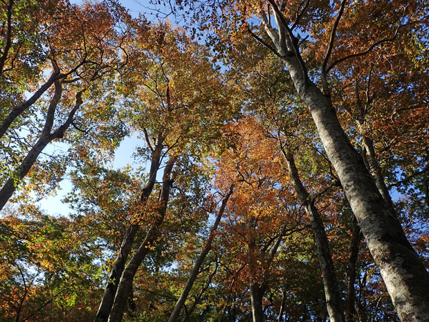 f0214649_05210045.jpg