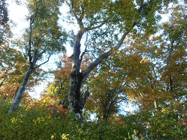 f0214649_05221356.jpg