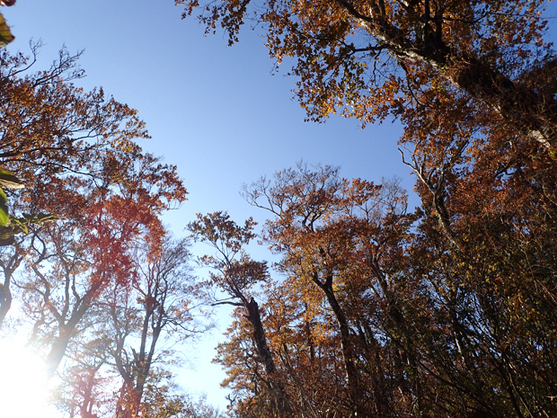 f0214649_05262186.jpg