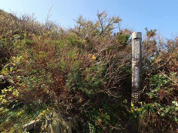 f0214649_08273732.jpg