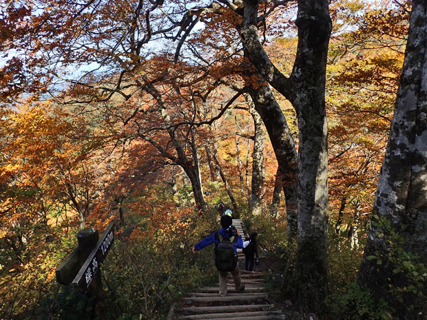 紅葉の大山⓷_f0214649_09354427.jpg