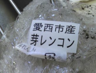 レンコン三兄弟 うまこの天袋