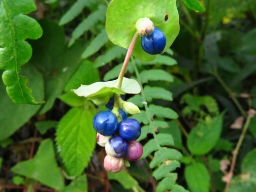 a0018655_13274098.jpg