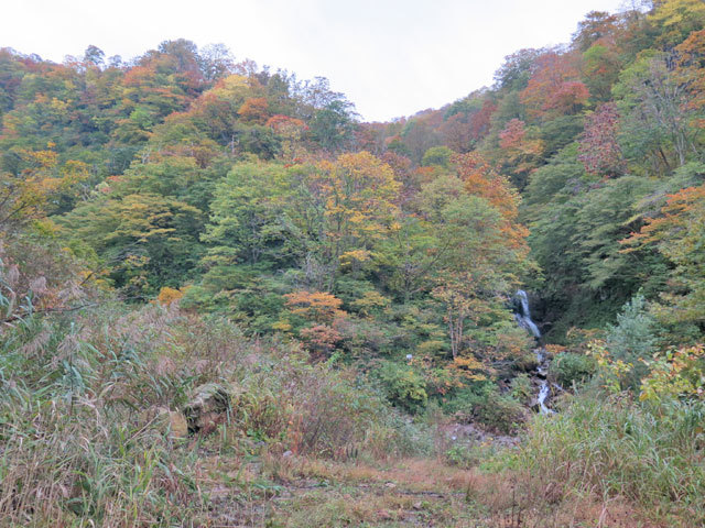 2017年10月28日　黒菱山（1,043m・富山県朝日町）_c0116856_21502221.jpg