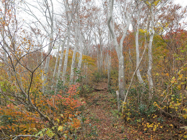 2017年10月28日　黒菱山（1,043m・富山県朝日町）_c0116856_21511705.jpg