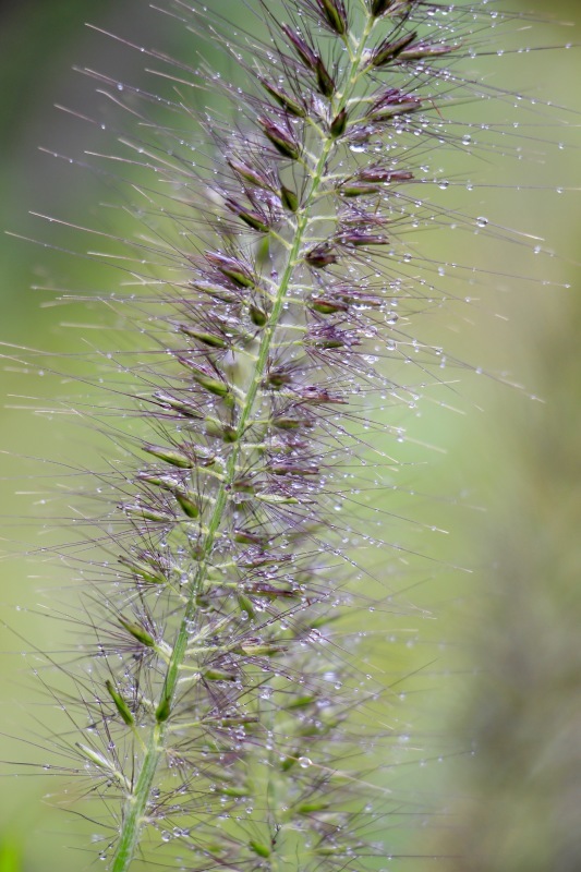 a0248459_15032187.jpg