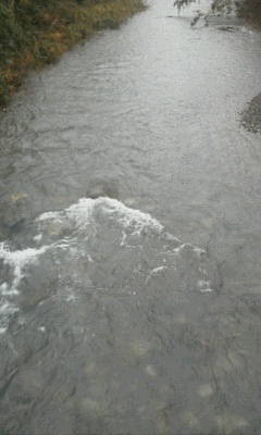 b0105259_1852826.jpg