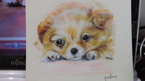 サクラクレパスで犬を描く1。 : 日々をスケッチ