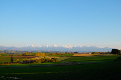 d0340565_20053742.jpg