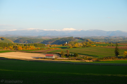 d0340565_20060289.jpg