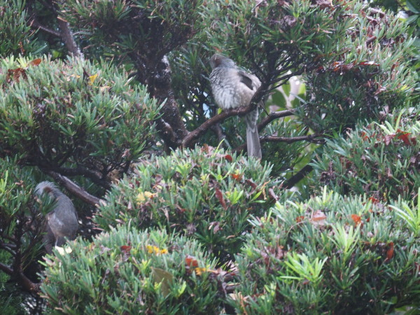 f0208666_16573085.jpg