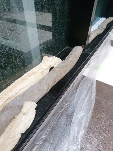 d0162667_23274201.jpeg