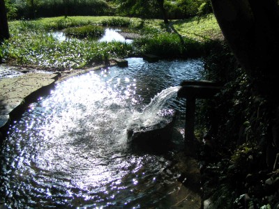 c0112172_11582.jpg