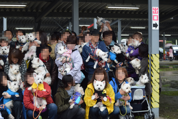 b0242873_00253377.png