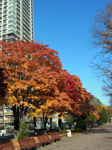 f0083977_20061438.jpg