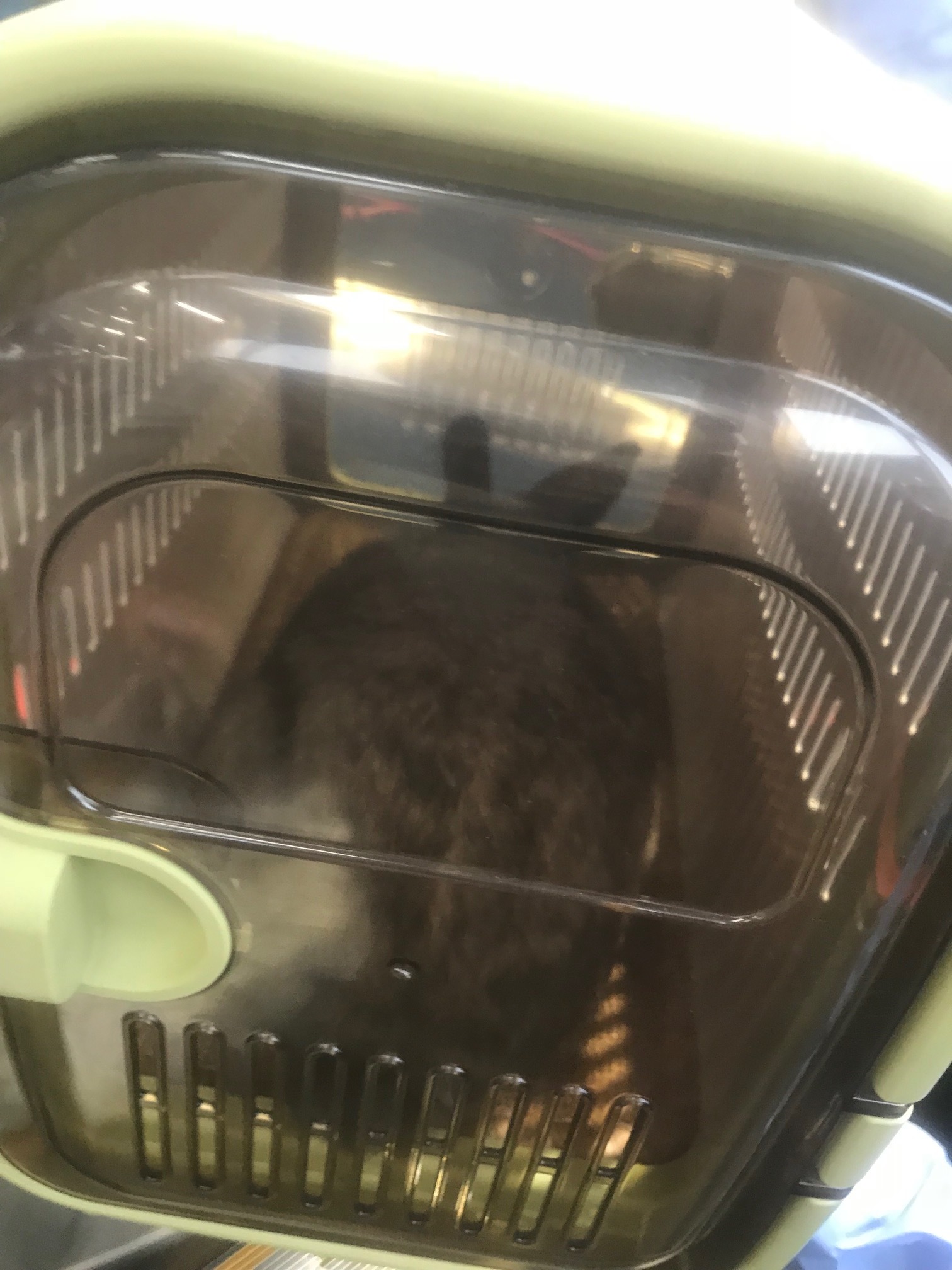 c0157579_09023156.jpeg