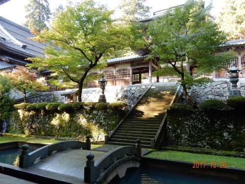 f0348480_15285731.jpg