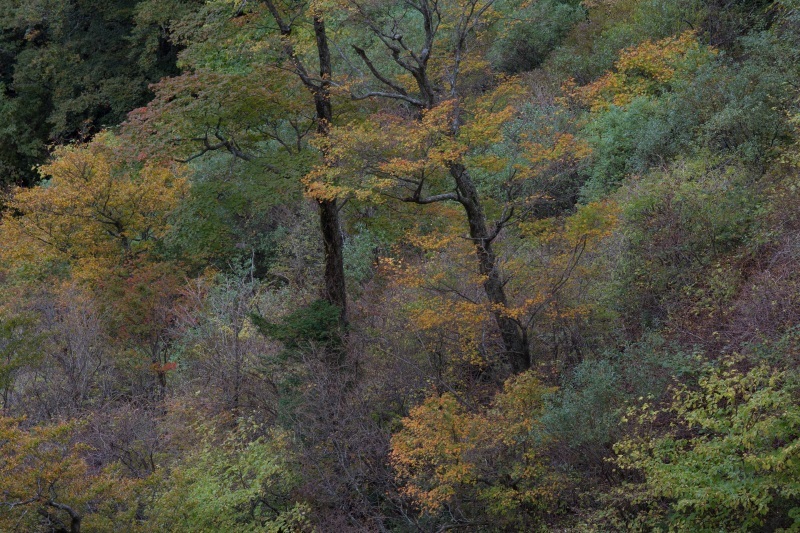 a0327791_21553571.jpg