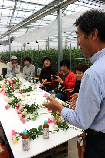 「滋賀県秋薔薇見学会」のご報告②～和ばらの故郷「Rose Farm KEIJI」さんを訪ねて～_d0099791_22204162.jpg