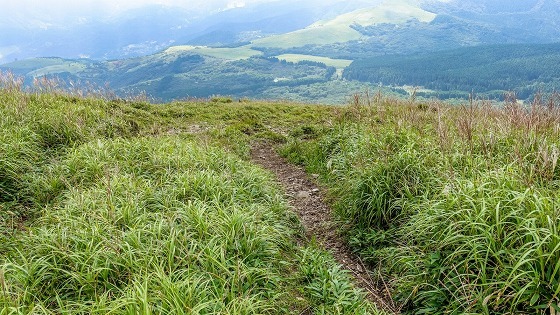 e0176993_07410092.jpg