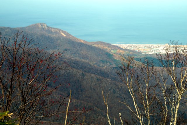 a0345007_11101087.jpg