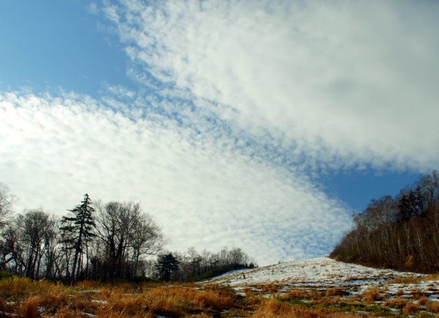 a0345007_1145648.jpg