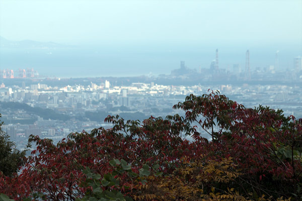 b0014607_20553764.jpg