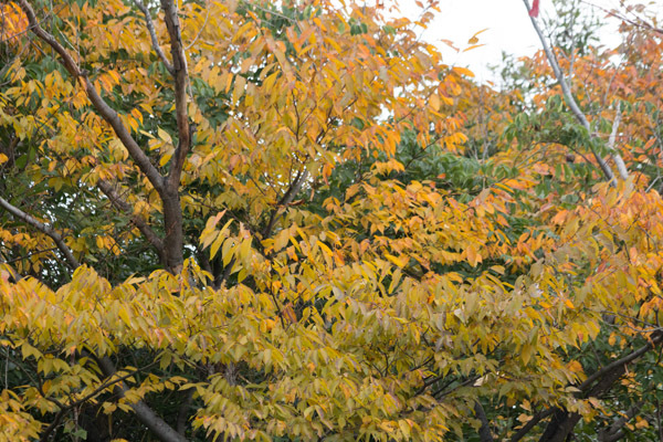 b0014607_20574949.jpg