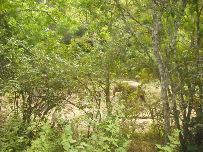b0247609_14272192.jpg