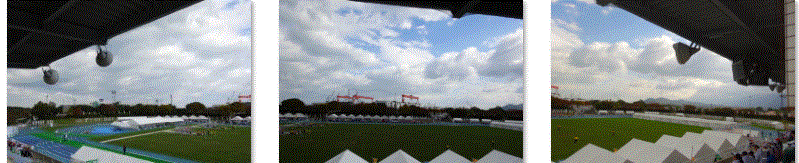f0231709_16021429.gif