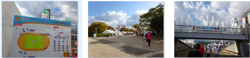 f0231709_16330722.gif
