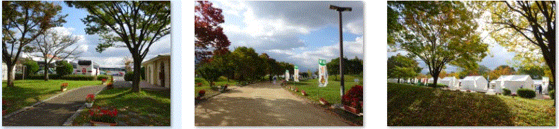 f0231709_16335637.gif