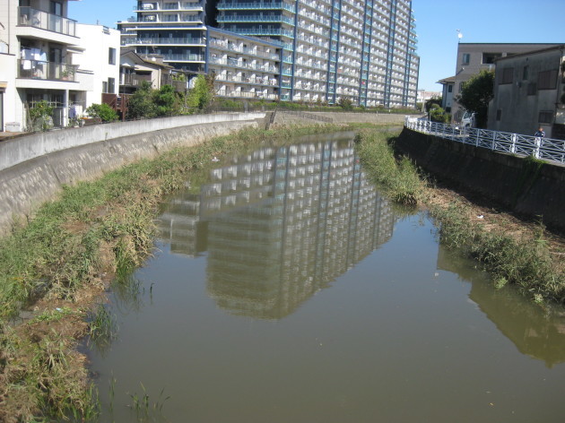 b0183111_08000248.jpg