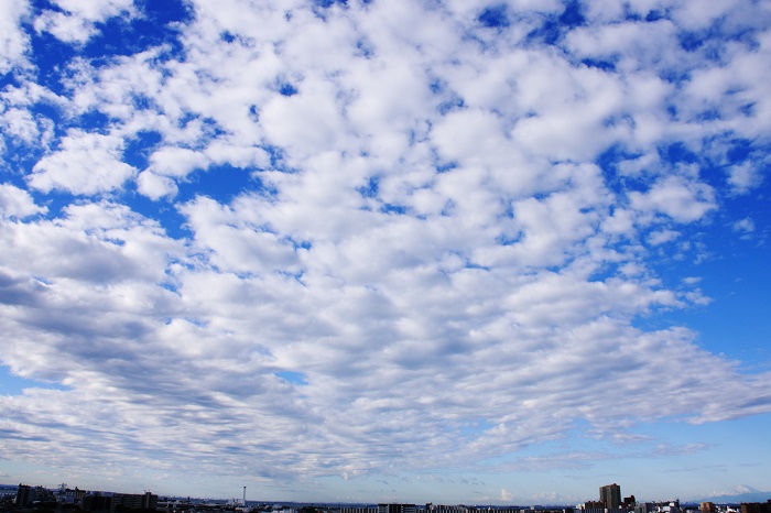 ひつじ雲（高積雲）_b0268615_15102796.jpg