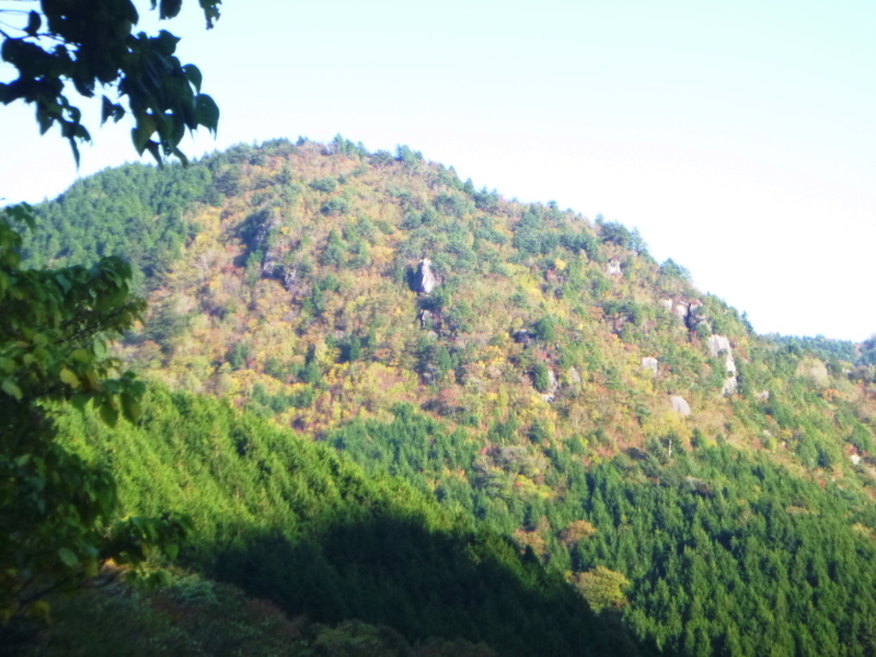 瓢ｹ岳 (1,162.6M) 　登頂 編_d0170615_11375372.jpg