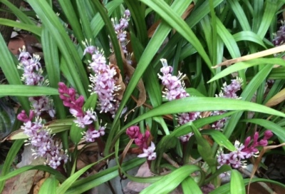b0344816_21414079.jpeg