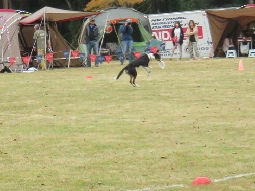 c0084117_21000958.jpg