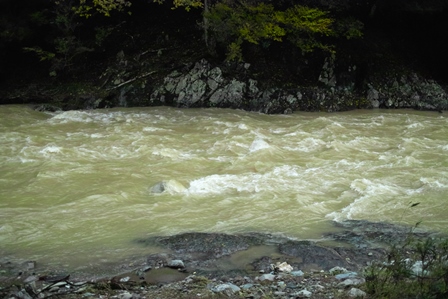 曇りで冷たい北風が・・・朽木小川・気象台より_c0044819_6563369.jpg