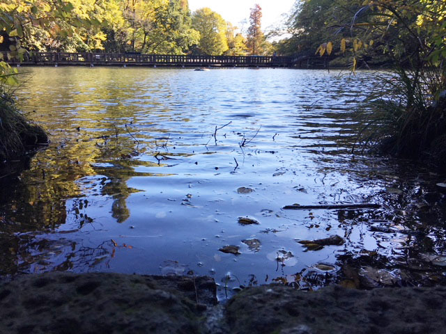 e0208519_15551252.jpg