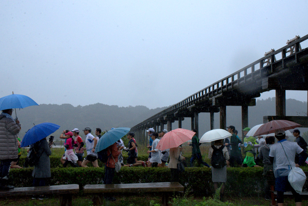 大雨の中で　　　大井川リバティーマラソン_d0072720_7104413.jpg