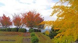 e0352820_22413478.jpg