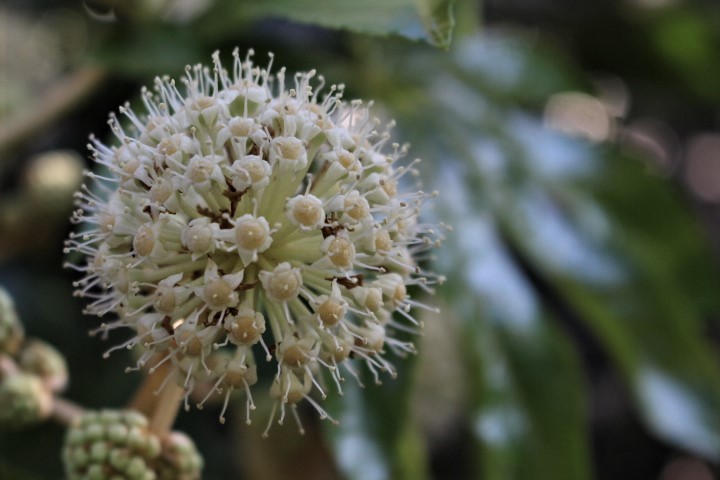 f0354923_23392988.jpg