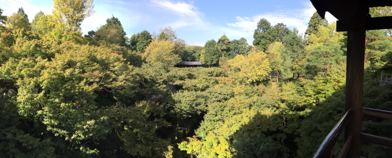 八相の庭　【東福寺】_b0153224_23162414.jpg