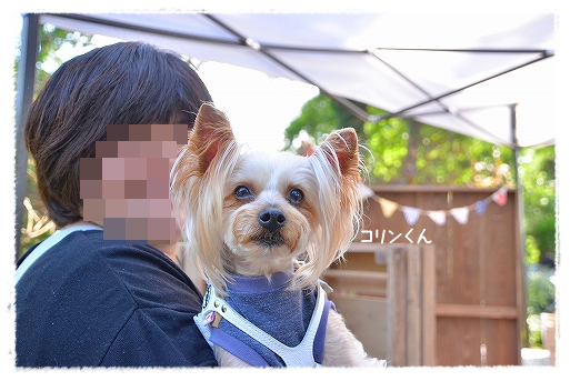 d0179828_07320601.png