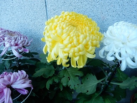 e0033229_18272122.jpg