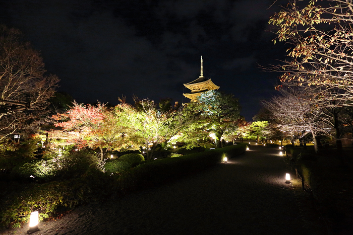 そうだ 京都、行こう －2017年紅葉 東寺－_b0169330_7194495.jpg