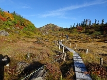 c0147935_20302922.jpg
