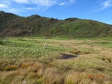 c0147935_20541642.jpg