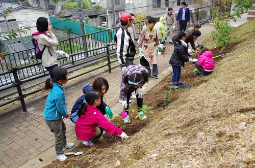 植栽イベント終了_f0274138_8122579.jpg