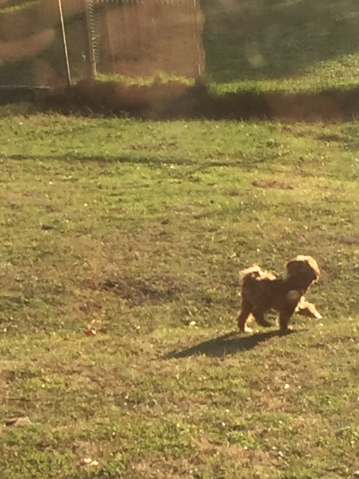 b0369239_11585073.jpeg